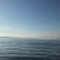 湾内の豆と沖向き良型!