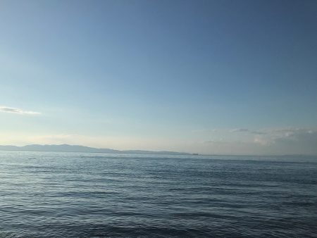 湾内の豆と沖向き良型!