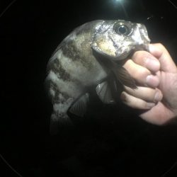 いよいよ最終ラウンド突入ですね。