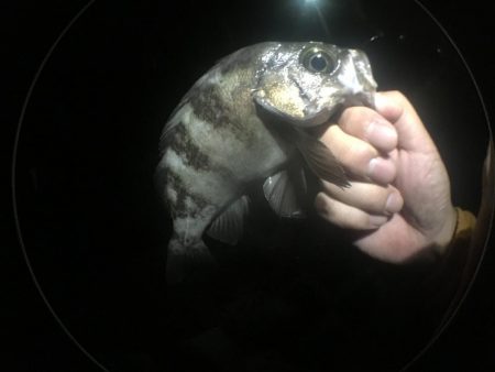 いよいよ最終ラウンド突入ですね。