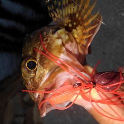 ロックフィッシュ