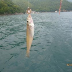 レンタル手漕ぎボートでのキス釣り