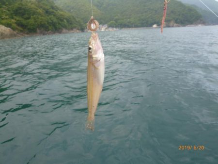 レンタル手漕ぎボートでのキス釣り