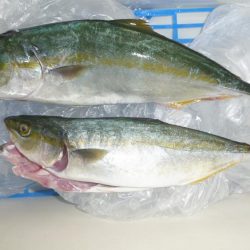 やっと３０ｃｍ超え＾＾；