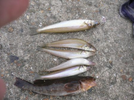 波止は風が強い