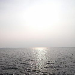 移動して良かった(^^)