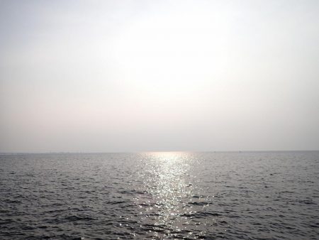 移動して良かった(^^)