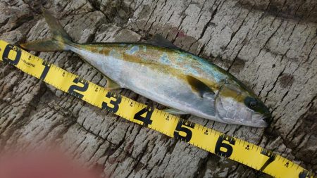 やっと結果が出た