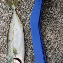 あなたてはない!