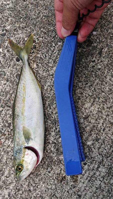 あなたてはない！