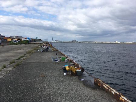 泉南の戻りアジ終了、豆アジだらけ