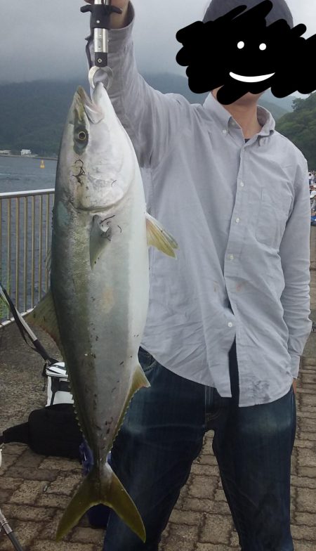 まさかのメジロ