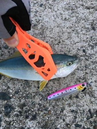 ポーアイ沖堤防