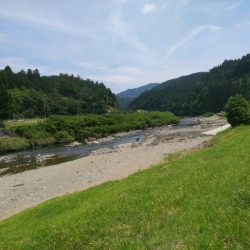 上桂川で若鮎釣り