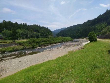 上桂川で若鮎釣り