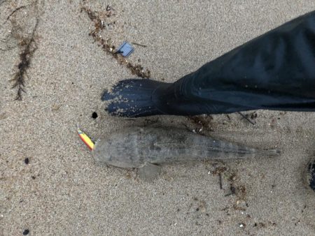 小さいけど本命