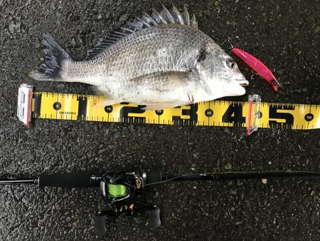 びっくりした。。