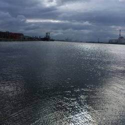 強風のなかもじゃこ