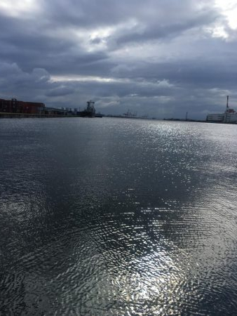 強風のなかもじゃこ