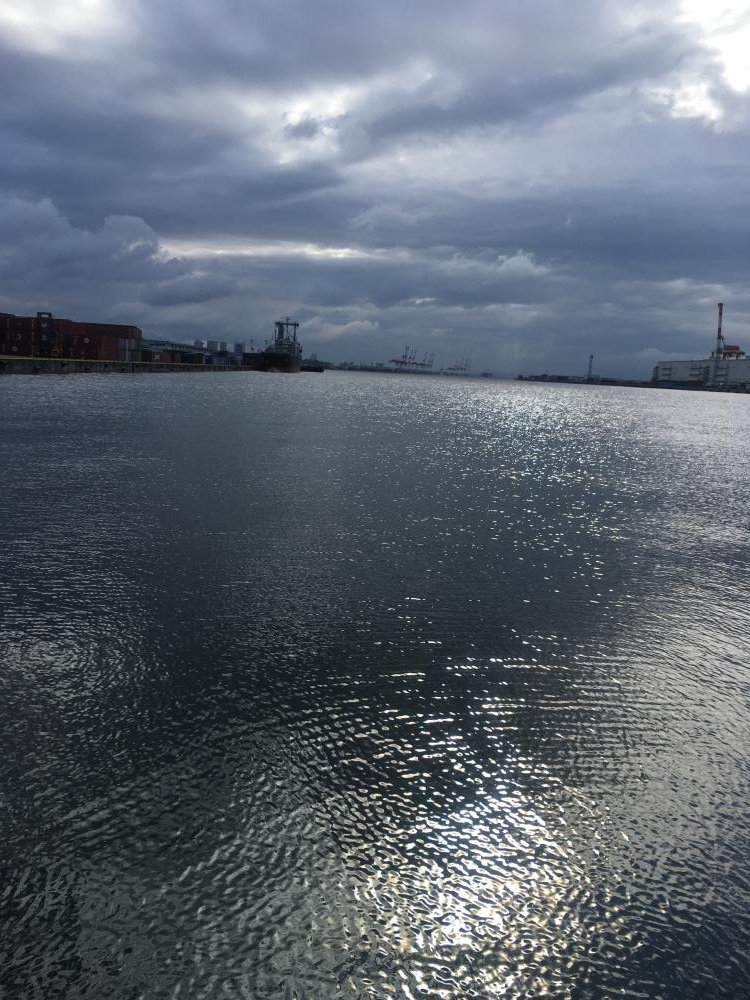 強風のなかもじゃこ