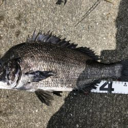 イチノ兄弟、釣果!