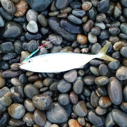 七里御浜ライトショアジョギング