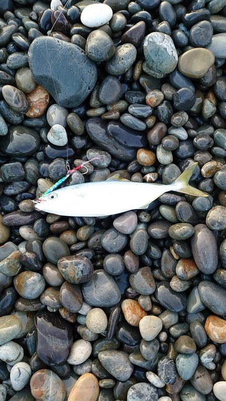 七里御浜ライトショアジョギング