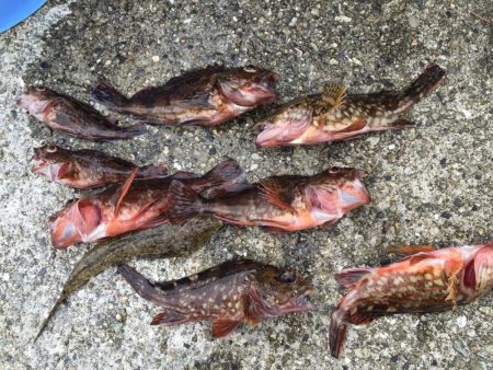 ファミリーフィッシング