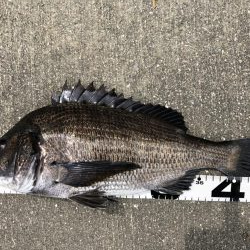 イチノ兄弟、釣果!