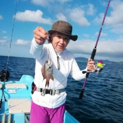 アオリとコサバ