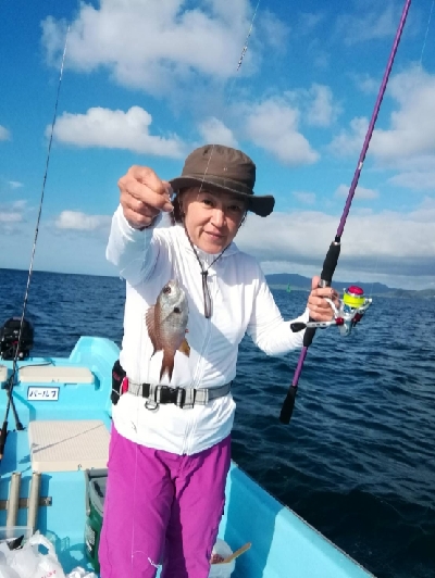 アオリとコサバ