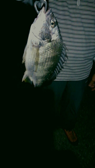 長雨でイマイチ