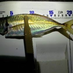 テンションぬけ