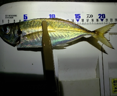 テンションぬけ