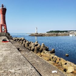 キス狙いです。