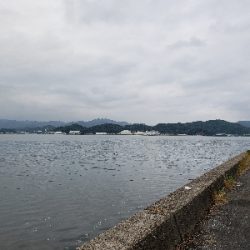 今シーズン初青物‼️