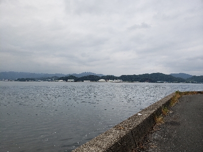 今シーズン初青物‼️