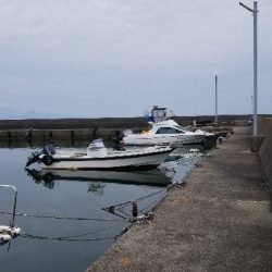 坊主続いてのチヌ