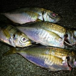 カミナリ前から