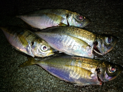 カミナリ前から