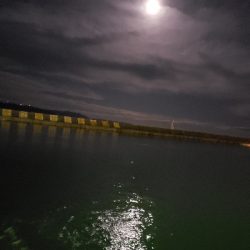 ジグヘッドに‼️