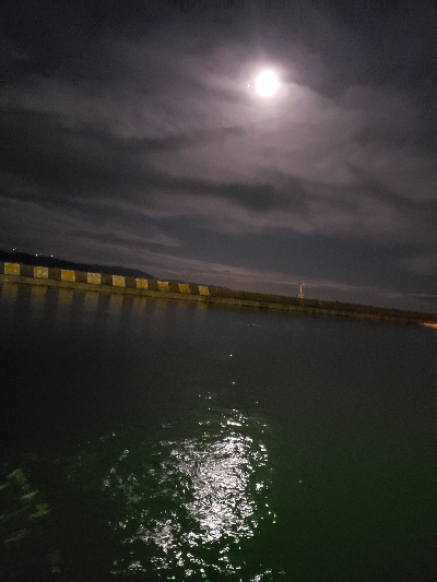 ジグヘッドに‼️