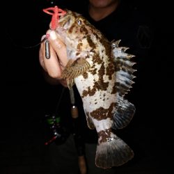 アーバンサイドゲーム‼️