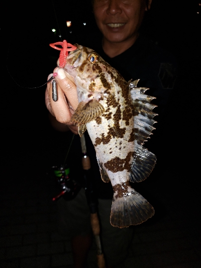 アーバンサイドゲーム‼️