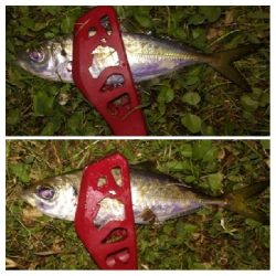 アジンガー2100〜2151