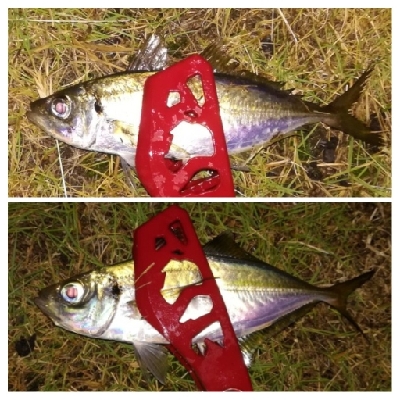 アジンガー1900〜2045