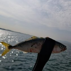 ツバスうじゃうじゃ