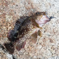 どんよりした天気の中