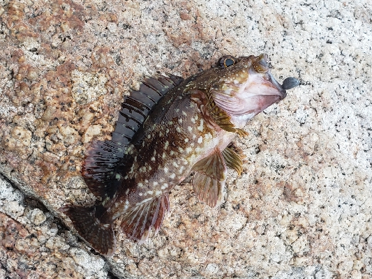どんよりした天気の中