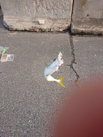 ベアリング換装